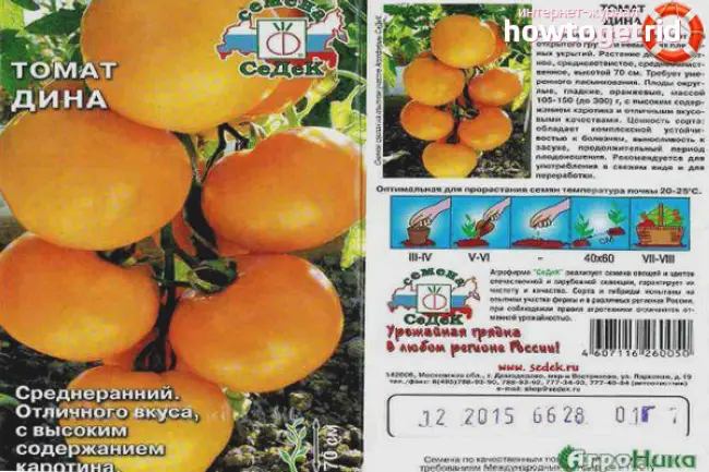 Томат Дина: характеристика и описание желтого сорта, видео и фото помидоров, отзывы об урожайности куста