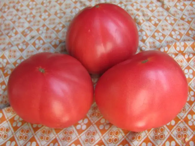 Характеристика и описание сорта томата Бабушкин секрет, а также реальные отзывы, фото помидоров, достоинства и недостатки представлены в этой статье.