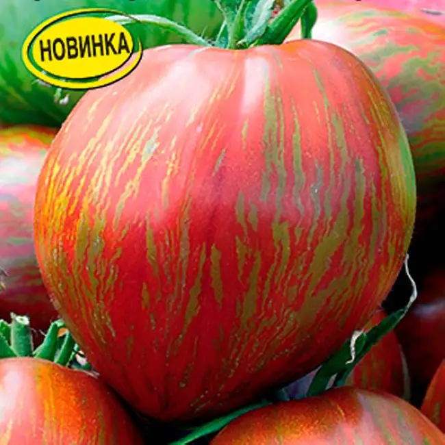 Томат Богатырь: характеристика и описание сорта, отзывы об урожайности помидоров и фото семян