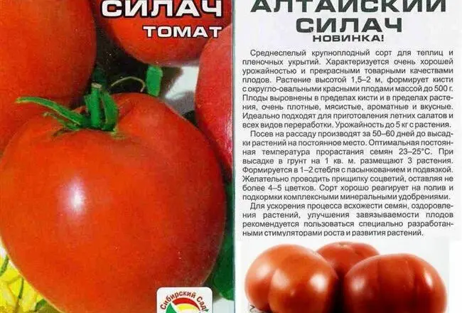 Томат мэри описание сорта — Урожайные сорта томатов в 2020 году