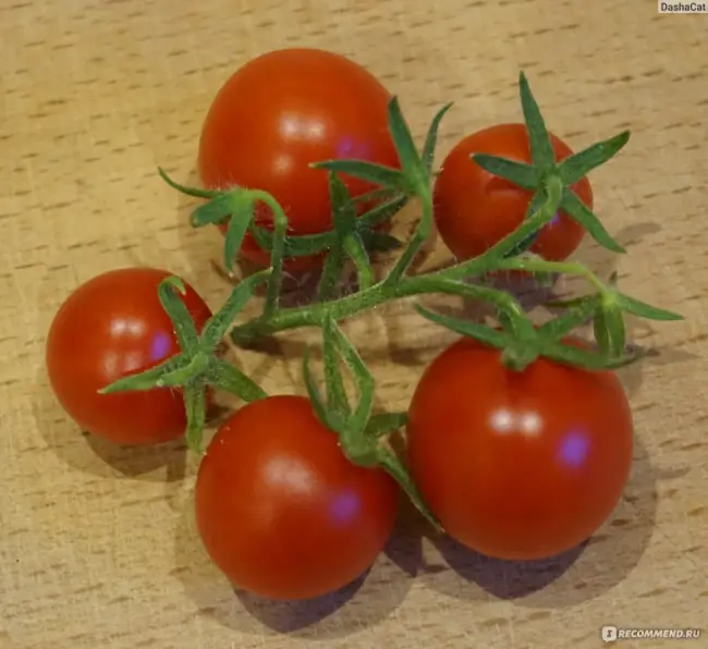 Томат Внученька: отзывы о выращивании помидоров, описание и характеристика сорта