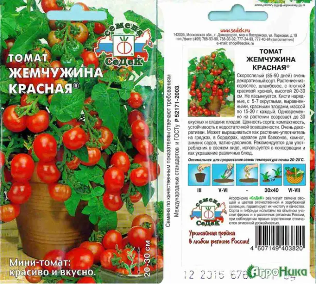 Томат Красная гроздь: описание и характеристика, урожайность с фото