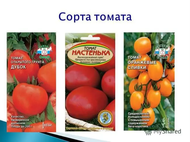 Отзыв о Семена томата Поиск «Красные дольки» | Отличный сорт томатов салатного назначения. Результат превосходит ожидания.