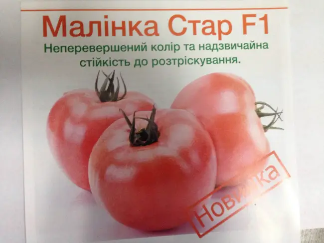 О томате Малинка: описание сорта, характеристики помидоров, агротехника