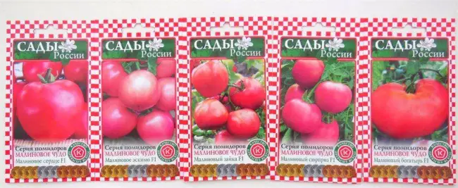 Томат Малиновый сюрприз: описание сорта, фото и отзывы об урожайности помидоров, характеристика растения