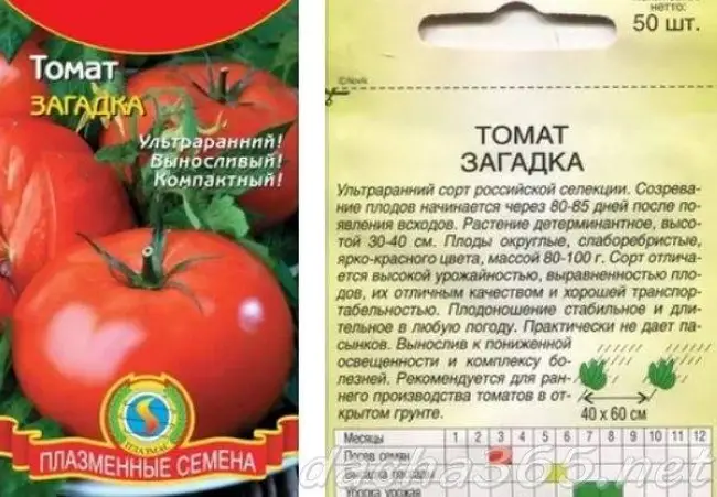 Томаты «Малышок». Старый и потерянный сорт томатов, семена которых вы не… | Интересный контент в группе Сад Жизни