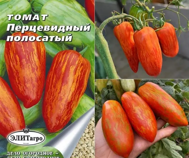 Перцевидные томаты: разнообразие сортов и особенности выращивания