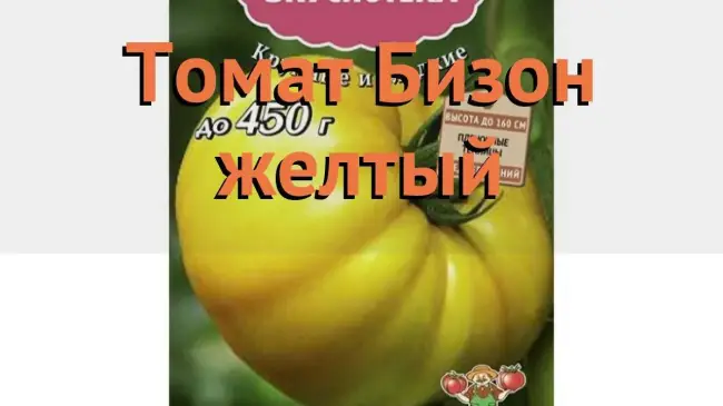 Томат Бизон желтый семена — низкая цена, описание, отзывы, продажа.