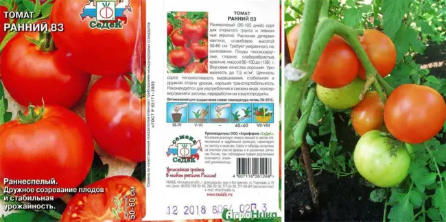 Томат ранний 83 описание сорта — В данной статье есть описание сорта томатов