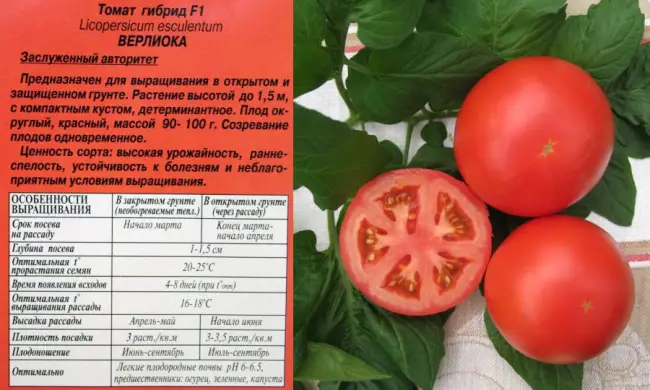 Томат рысь описание сорта — Какие семена помидор самые урожайные и низкорослые? Устойчивые к фитофторе