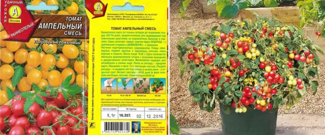 Томат Рябиновые бусы семена — низкая цена, описание, отзывы, продажа