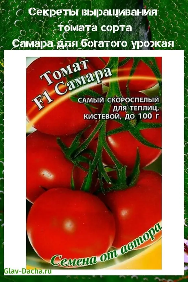 Раннеспелый томат «Самара»: описание сорта и фото