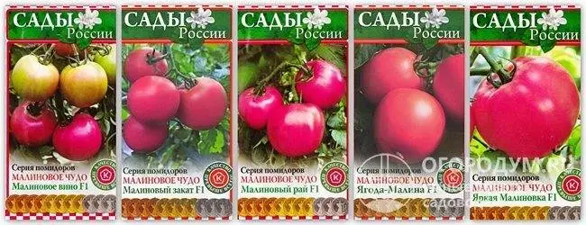Отзыв: Семена томатов "Сады России" - Томат Малиновое вино - на любителя))