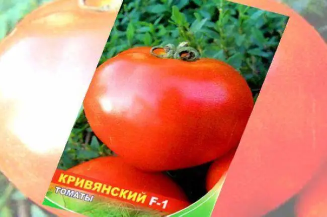Томат Кривянский f1: характеристика и описание гибридного сорта с фото