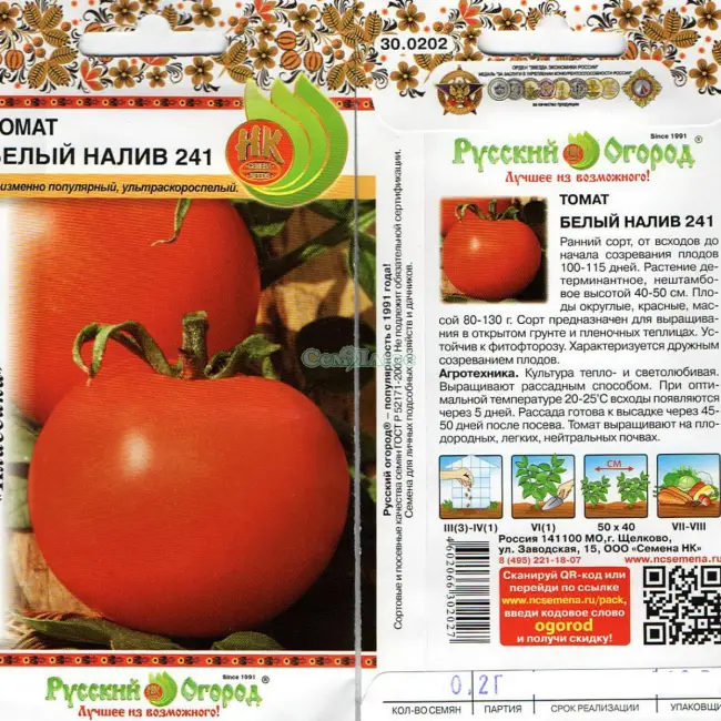 Томат Белый налив 241: характеристика и описание сорта, фото помидоров и отзывы об урожайности, когда сажать семена и как выращивать
