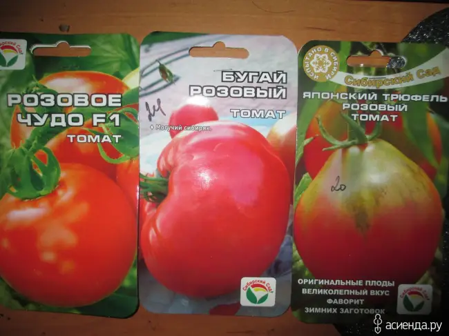 Глядя на полукилограммовые рельефные томаты, свисающие с ветвей, понимаешь, почему сорт получил название Бугай. Из описания вы узнаете, как его вырастить.