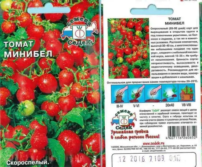 Характеристика и описание сорта томата Минибел, его урожайность