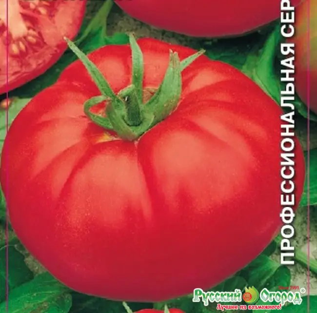 Томат владимир великий описание сорта — «Великие томаты». Великие размеры, великолепные свойства » Блог » Дачные дела