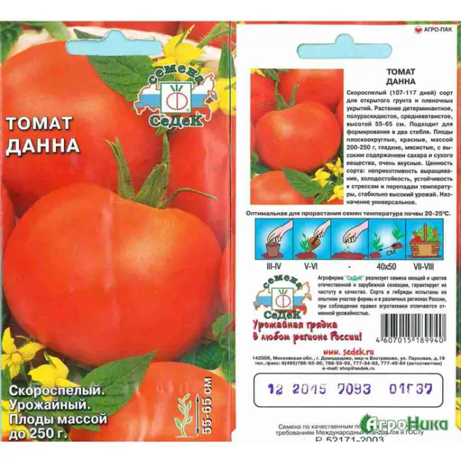 Томат золото сибири описание сорта — Удивительный сорт для любителей биколорных томатов — YouTube