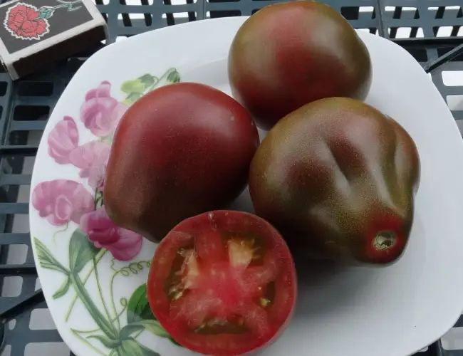 Томат Винный кувшин: характеристика и описание сорта, отзывы об урожайности помидоров, фото растения