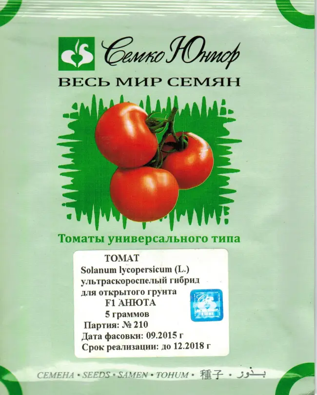 17 сортов томатов серии Семко: характеристики в таблицах, фото, отзывы