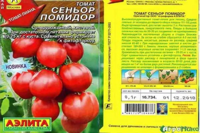 Томат суперурожайный Сеньор помидор: описание, агротехника, отзывы