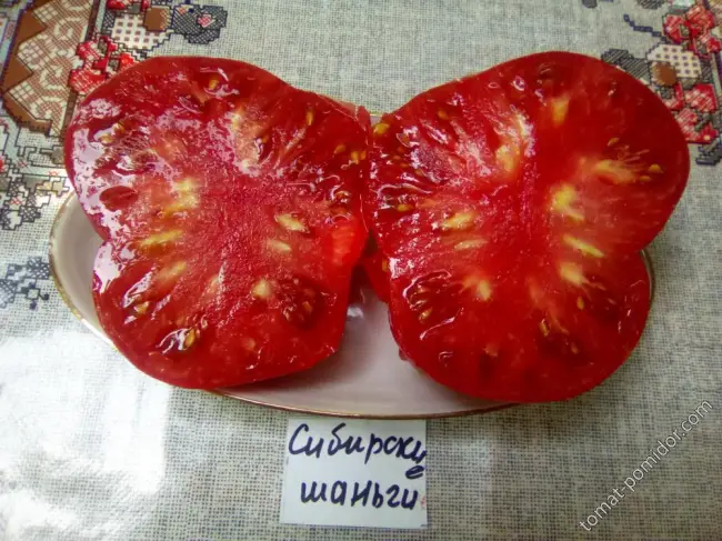 Семена томата Сибирский сад "Сибирские шаньги" - отзыв