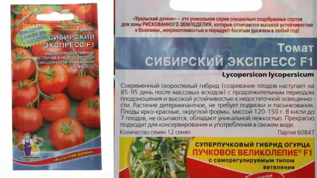 Томат Сибирский экспресс F1 семена — низкая цена, описание, отзывы, продажа
