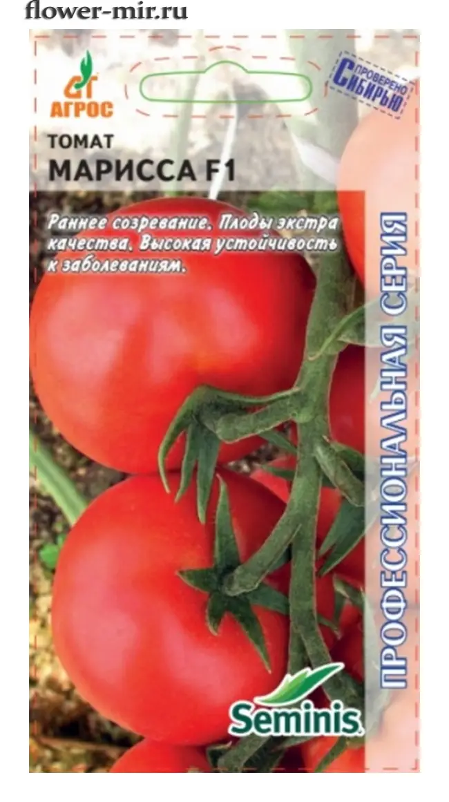 Описание томата Марьюшка, характеристика и выращивание сорта