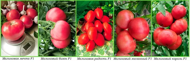Отзыв: Семена томата Сады России "Малиновая мечта" - Хороший урожай!