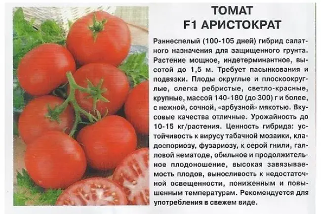 Описание сорта томата Аристократ, особенности выращивания и урожайность – Для любителей кистевых томатов, которые выращиваются в пленочных теплицах, селекционерами представлен томат Аристократ. Он прекрасно плодоносит на
