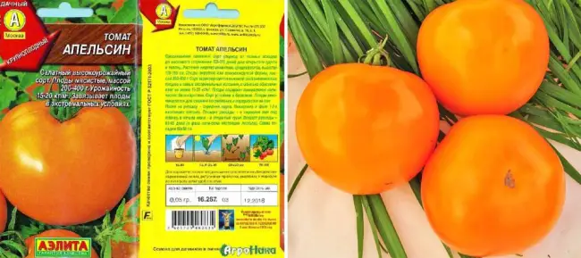 Томат Апельсин: описание и характеристика сорта, особенности выращивания и ухода, отзывы тех, кто сажал, фото