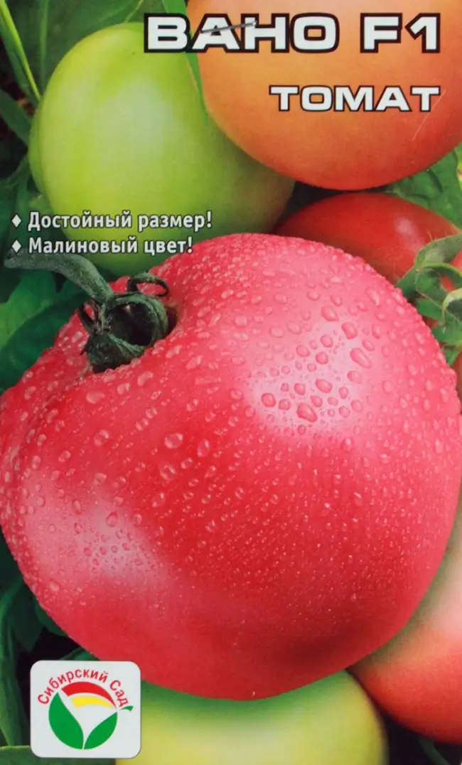 Лучшие низкорослые томаты 2019! Томаты сорта Вано, Настенька, Малиновый звон. — YouTube