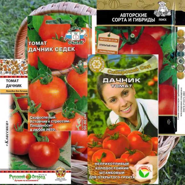 Томат бисер описание сорта — Топ-10 новых оригинальных американских томатов от известного российского селекционера Любови Мязиной