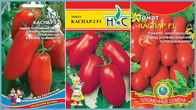 Томат «Каспар» F1: описание сорта, характеристики урожайности, рекомендации по выращиванию отличных помидор Русский фермер