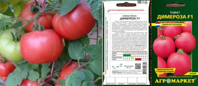 Томат Димероза F1: отзывы об урожайности, описание и характеристика сорта, фото помидоров