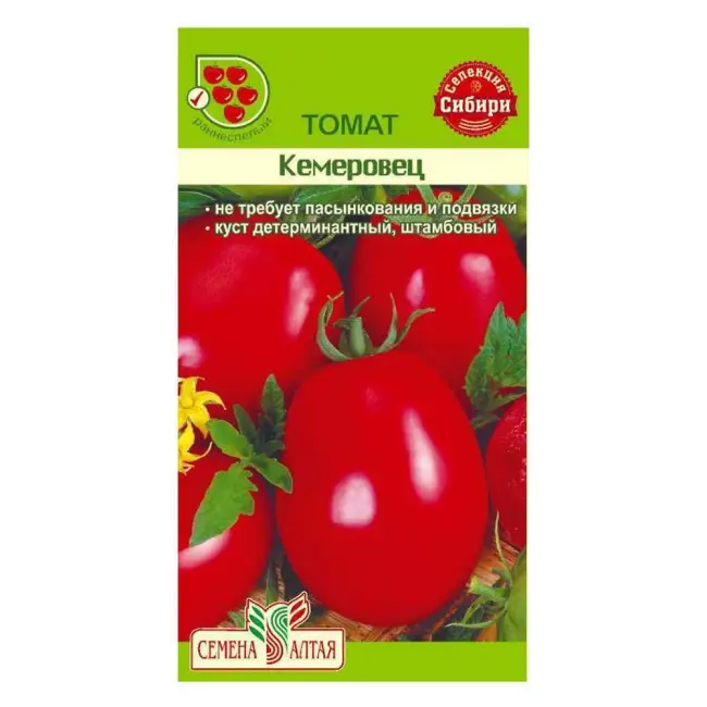 Томат «Кемеровец» отзывы фото урожайность Сорт томата «Кемеровец» отзывы садоводовю. Томат «Кемеровец» описание сорта и плодов.