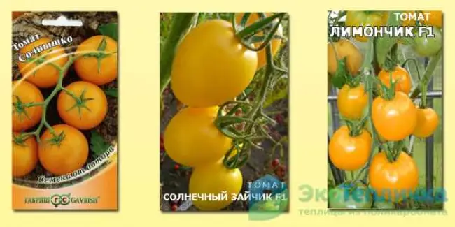 Томат Солнечный зайчик: отзывы об урожайности, описание сорта и характеристика, фото