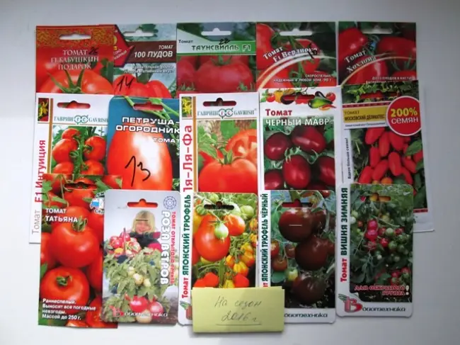 Сто пудов – томат для ценителей креатива и экзотики