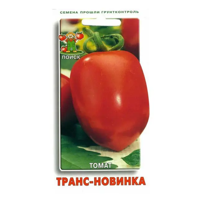 Отзыв о Семена томата Поиск «Транс Новинка» | Хорошая всхожесть семян.