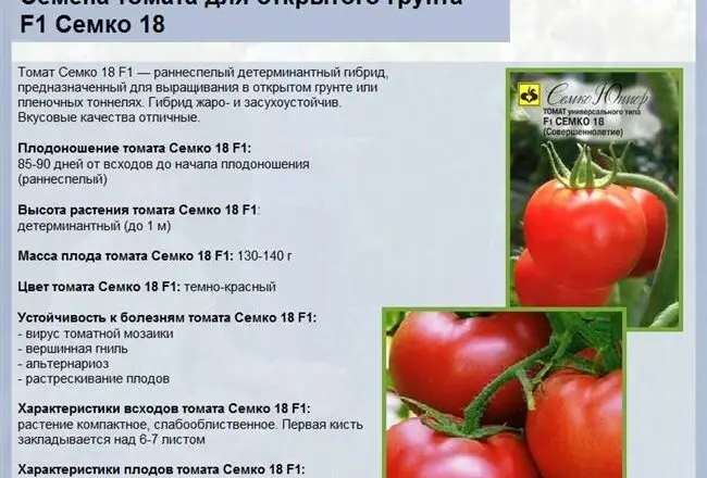 Сорт томатов Хрустик (гибрид)