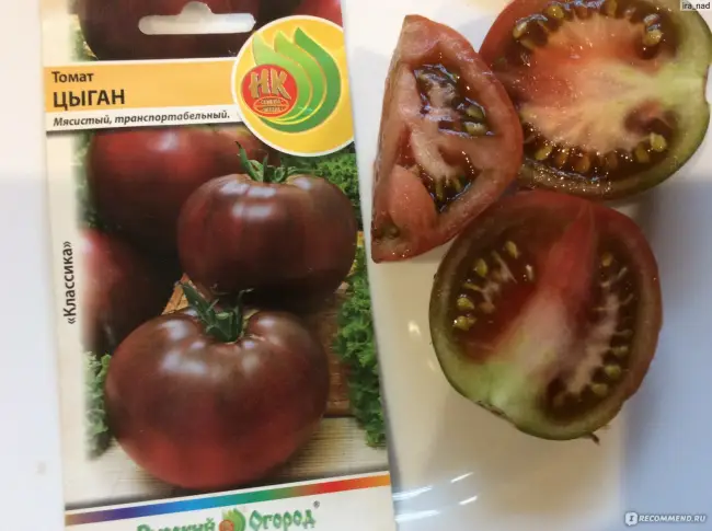 Томат Цыган: отзывы об урожайности помидоров, характеристика и описание сорта, видео и фото черных плодов