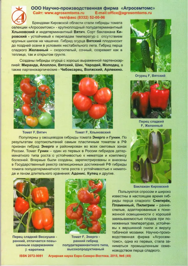 Томат чародей описание сорта — Лучшие сорта томатов для засолки и консервирования