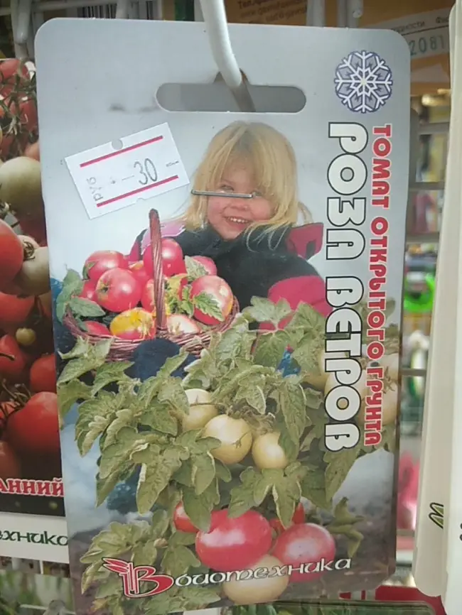 Томат Роза ветров: характеристика, описание сорта, советы по выращиванию отличного урожая помидор, фото