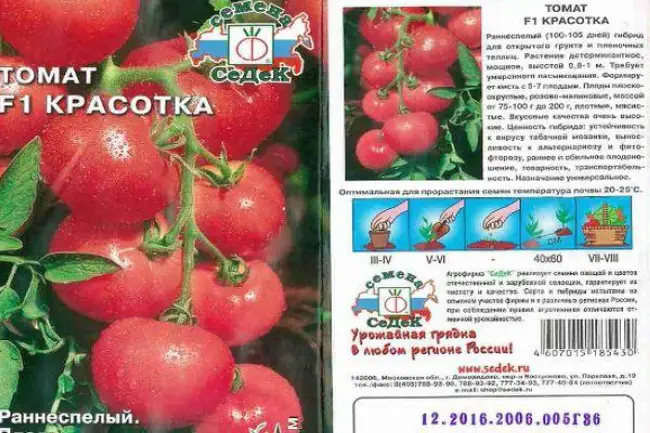 Томат Красотка f1: характеристика и описание сорта, его урожайность с фото