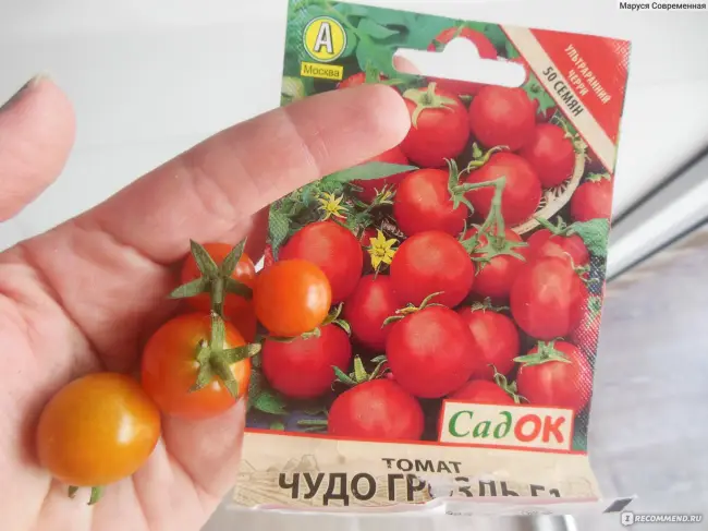 Отзыв о Семена томата Аэлита «Чудо-чудное» | Вкусный и урожайный сорт желтых томатов.