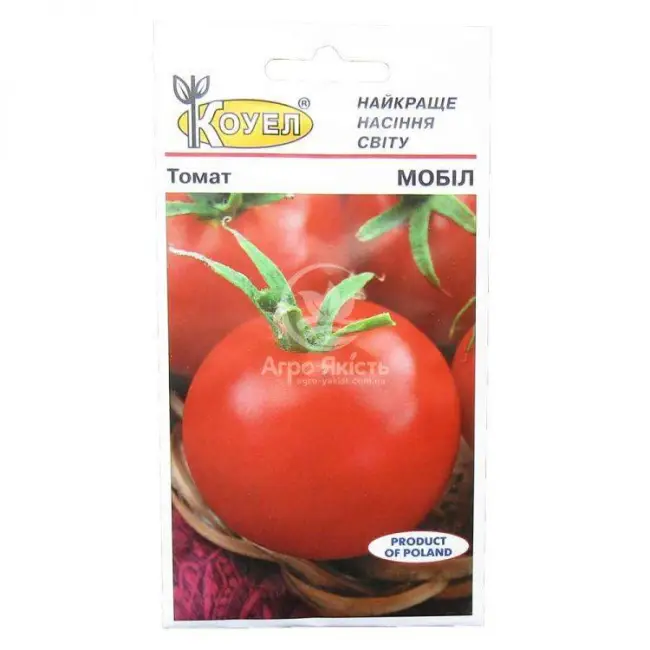 Мы подготовили для вас самую полезную информацию о выращивании томатов Шансон F1. Узнайте характеристики сорта и его описание, а также изучите отзывы дачников об урожайности помидоров и фото растения.