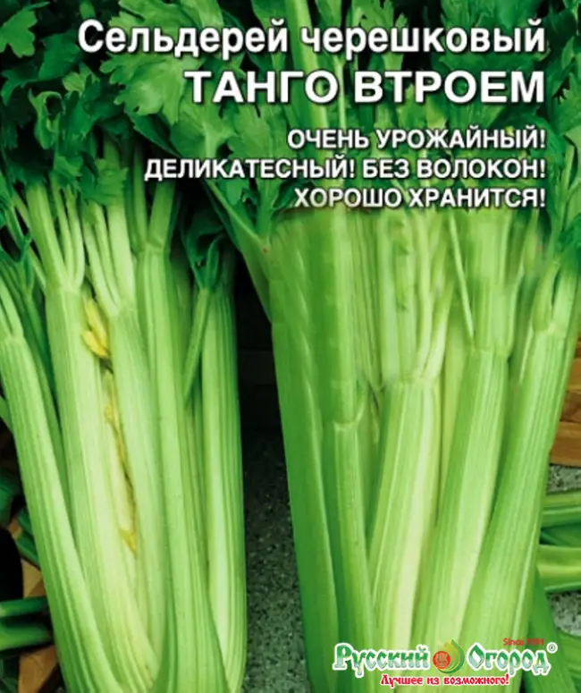 Сельдерей черешковый Танго — описание сорта, выращивание и отзывы — Журнал «Совхозик»