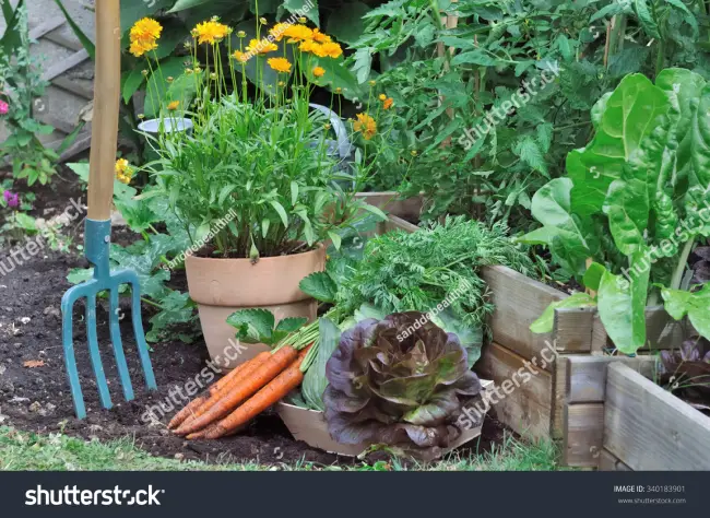 Посадка и выращивание овощей и фруктов, уход за садом, строительство и ремонт дачи - все своими руками.