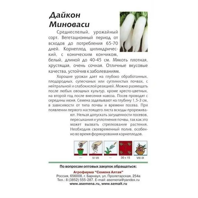 Дайкон - выращивание и уход, а также описание лучших сортов с характеристикой и отзывами